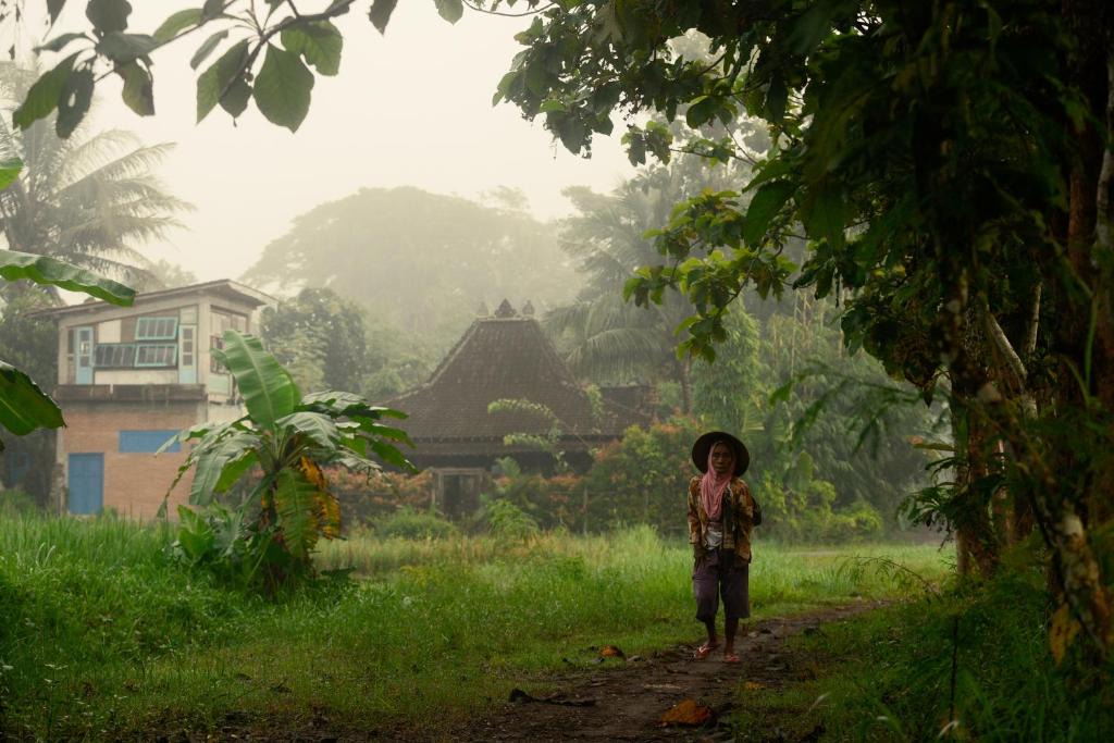 Balangan House | Omah minggir