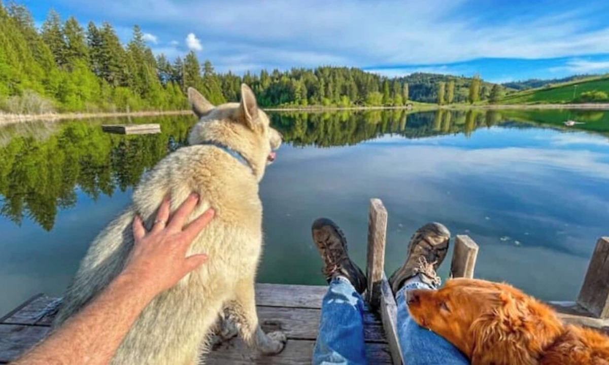 Kettle Falls Cottage | Oma’s Lakefront Cottage: Fish/Boat/Swim from dock