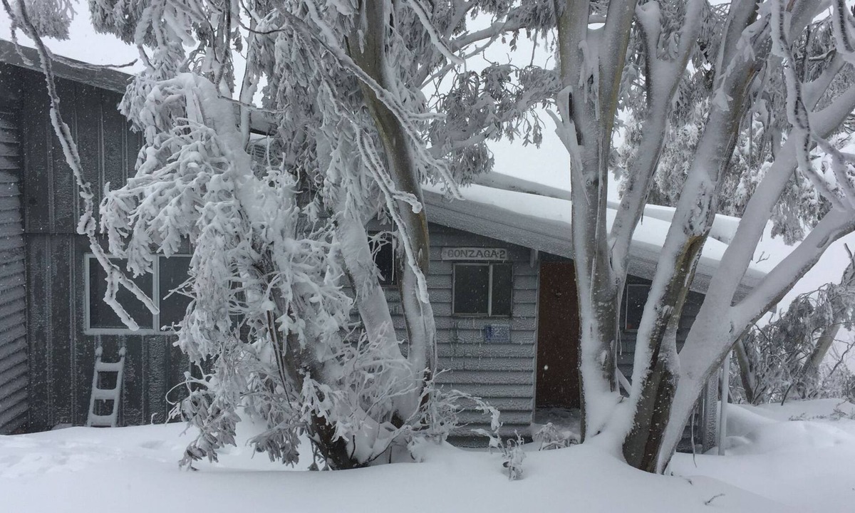 Mount Buller Cabin | On mountain accommodation