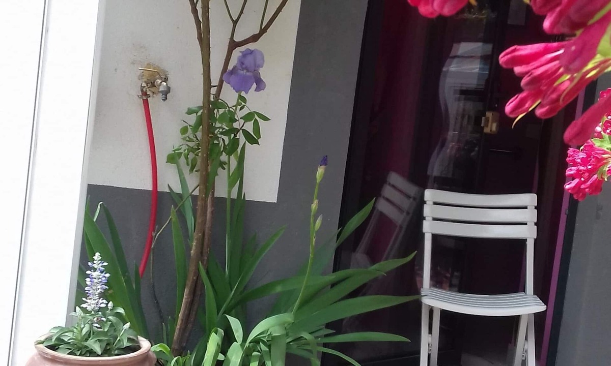 Mutzig Apartment | On the Wine Route Studio between Strasbourg and Colmar