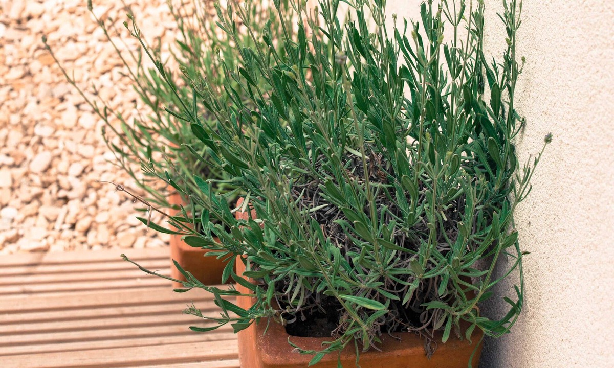 Long Itchington Apartment | One Abbey Lane