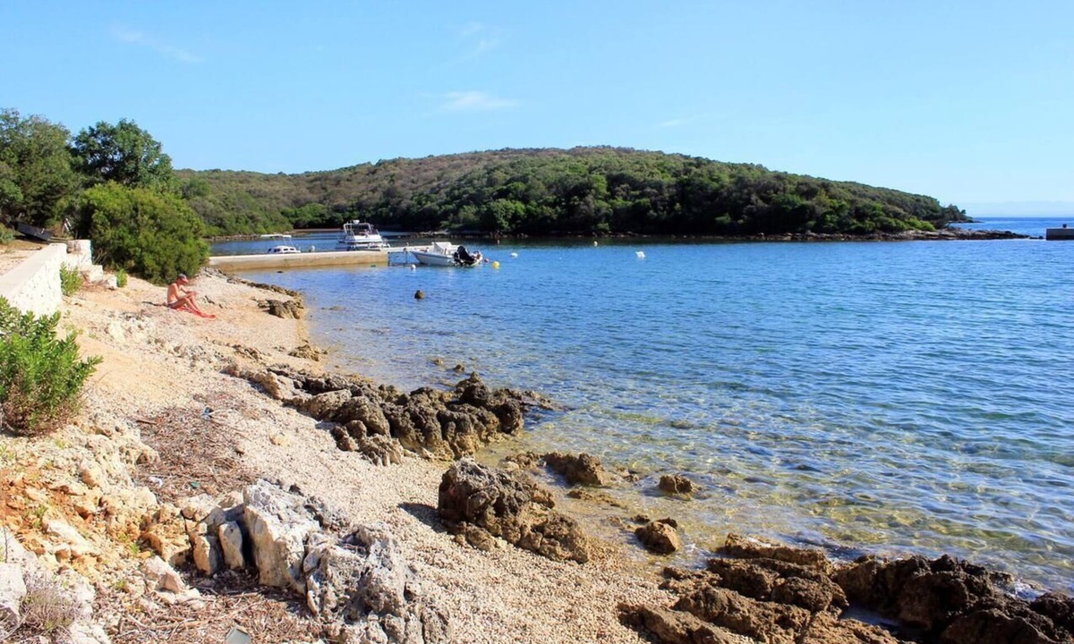 Punta Kriza Apartment | One bedroom apartment with balcony and sea view Punta križa, Cres (A-18644-a)