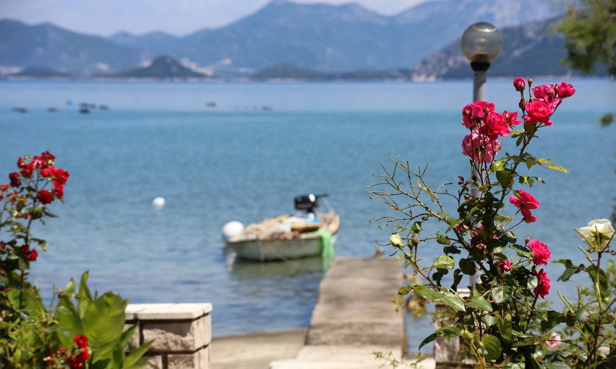 Janjina Apartment | One bedroom apartment near beach Sreser, Pelješac (A-10138-d)