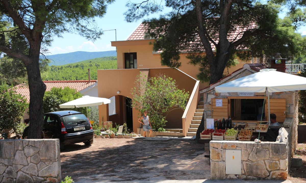 Vrbanj Apartment | One bedroom apartment with terrace and sea view Basina, Hvar (A-12420-c)