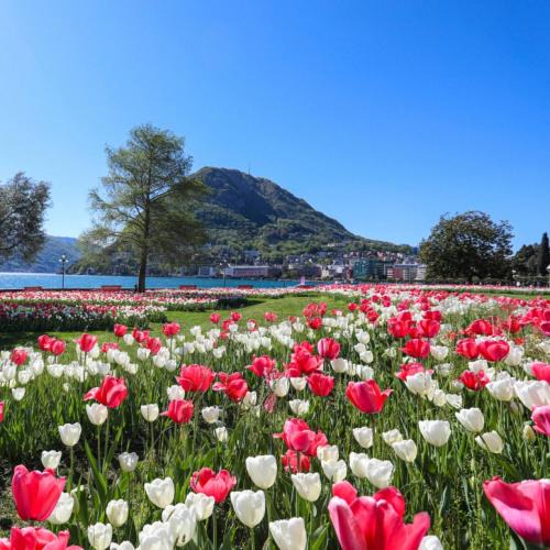 Lugano Apartment | One Only central City Penthouse