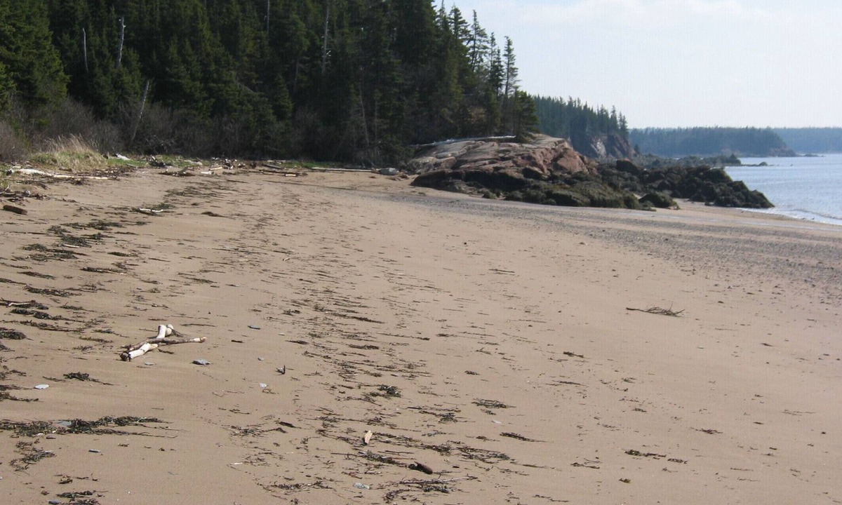 New River Beach House | Open Concept Waterfront Home On Private Sandy Beach