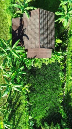Kecamatan Pringgasela House | Opik Homestay Tete Batu
