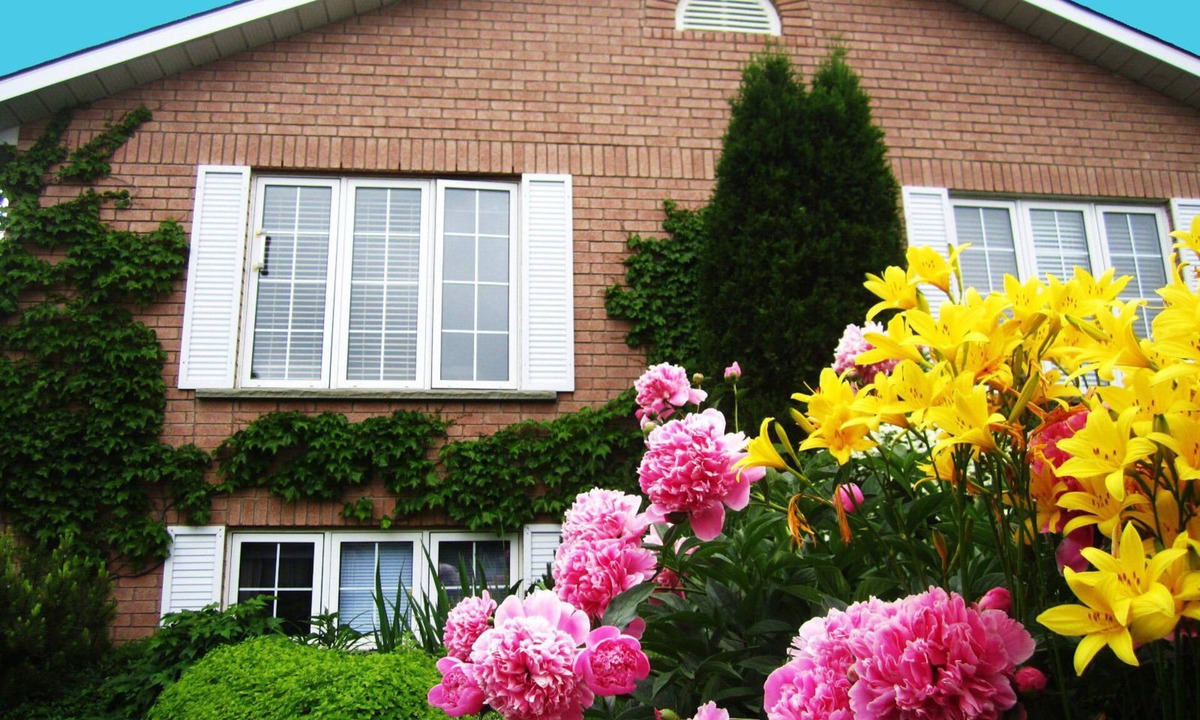 Stratford Bed & Breakfast | Opus 74 Bed & Breakfast