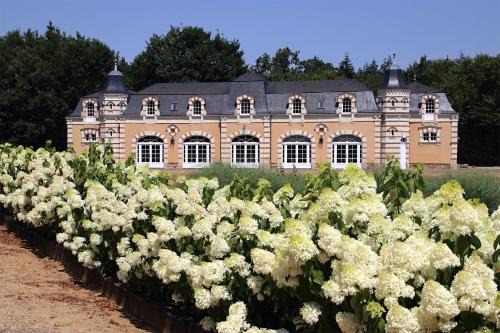 Durtal Villa | Orangerie de la Touchardière