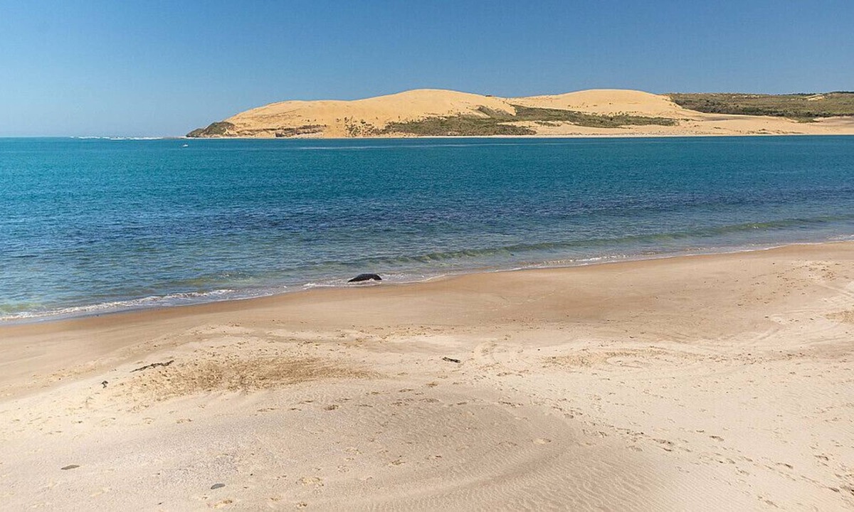 Omapere House | Orca Beach Watch