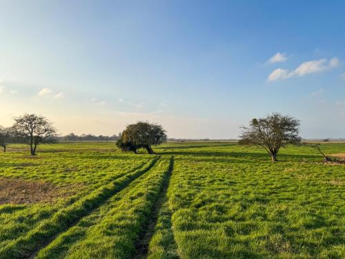 Thurlton House | Orchard Barn