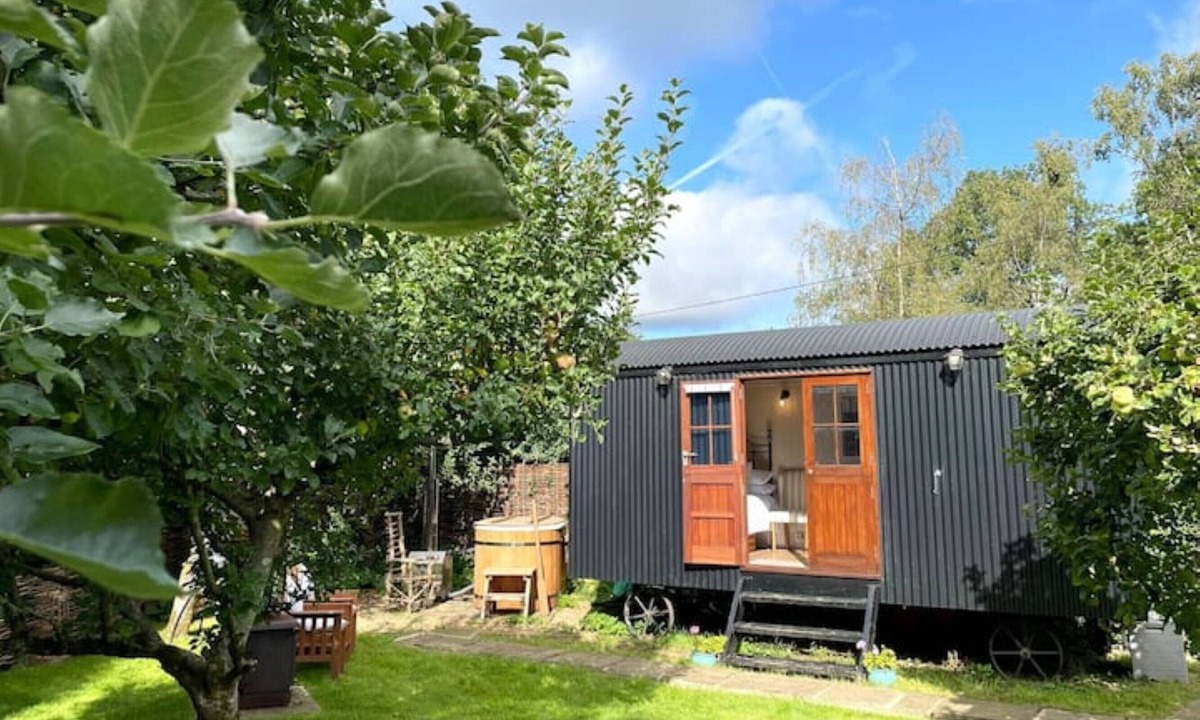 Chilworth Cabin | Orchard Hut - Surrey Hills