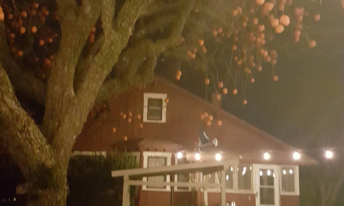 Victor House | Orchard Road Cottage