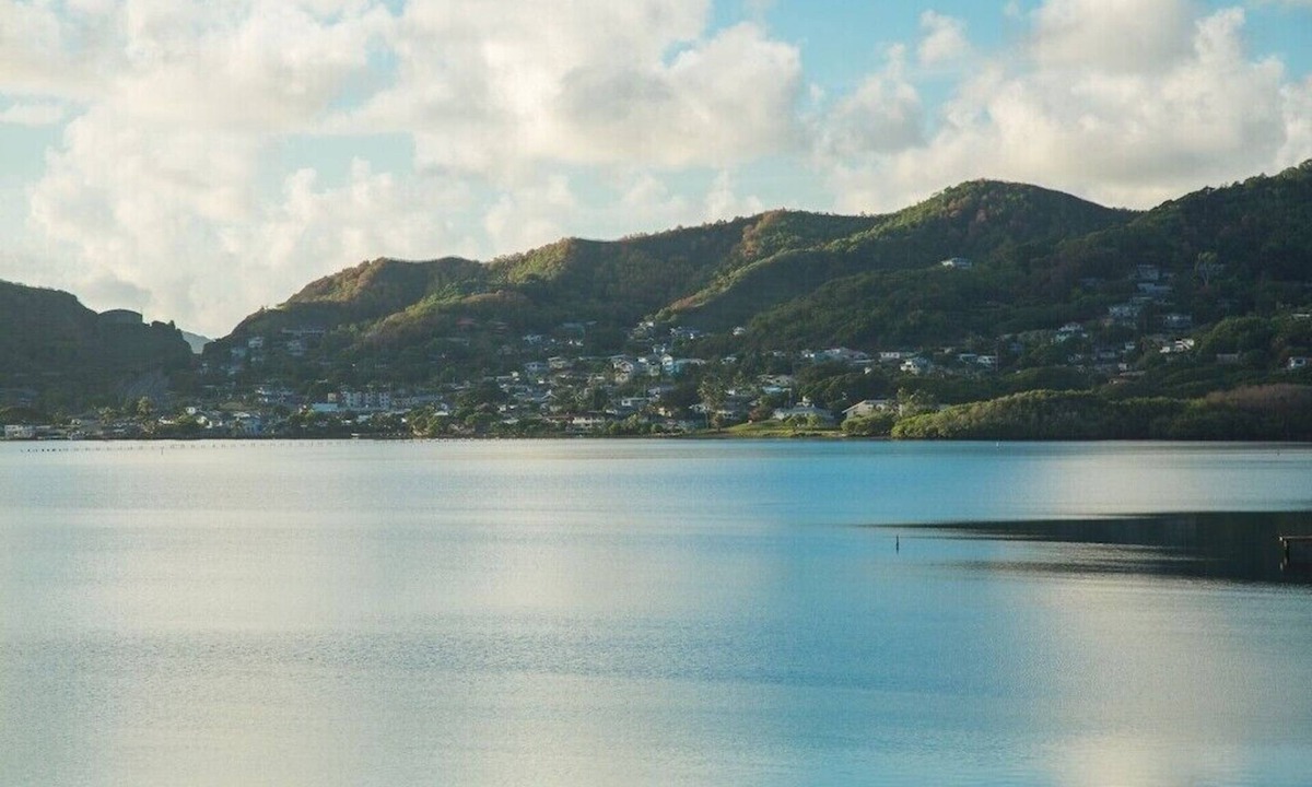 Kaneohe House | Orchid Oasis - AC, Pool, Ocean Views