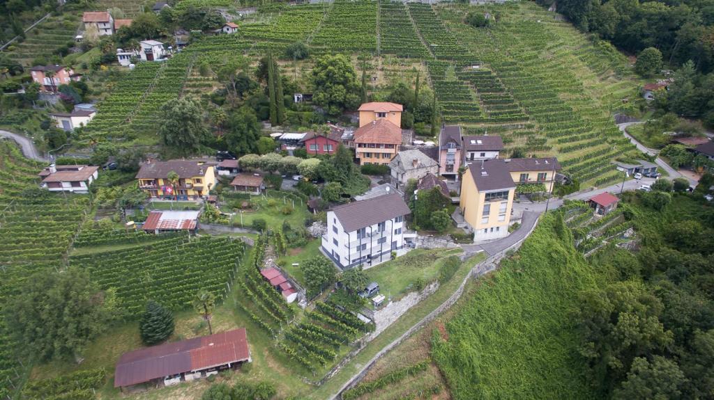 Gudo House | Osteria Locanda Brack