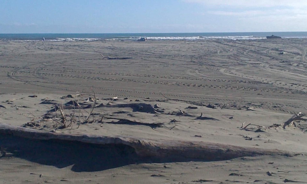 Otaki Hotel | Otaki Motel