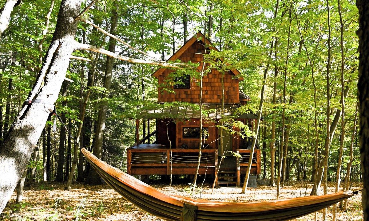 Argyle Bed & Breakfast | Out On a Limb — A Magical Treehouse Experience
