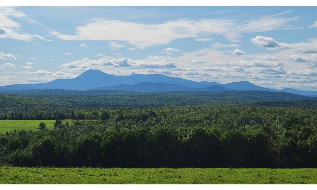 Patten House | Outdoor Paradise