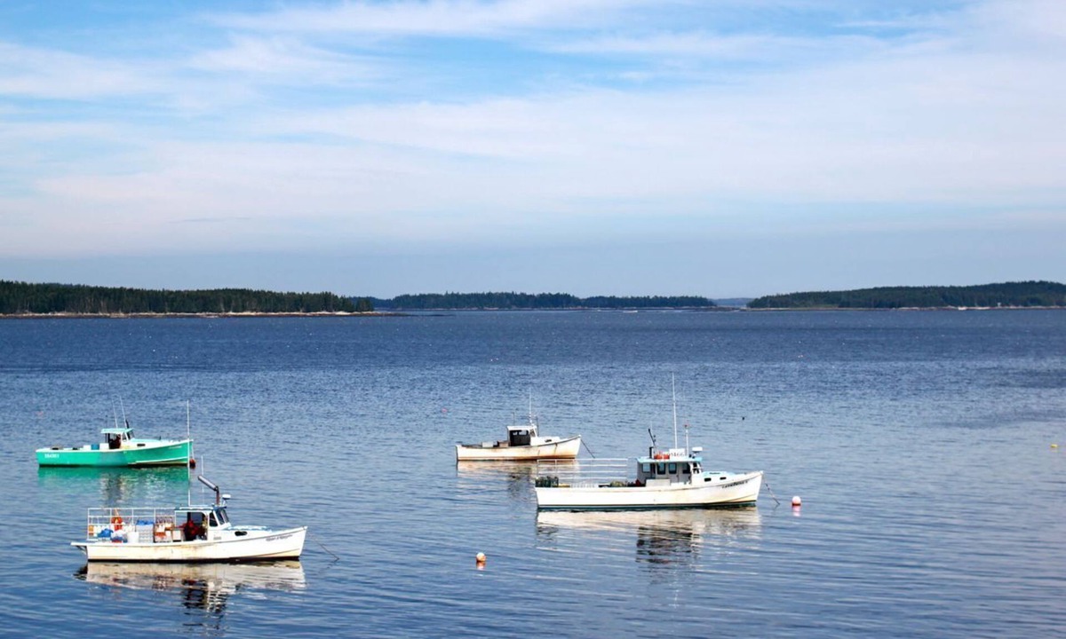 Milbridge House | OUTSTANDING Ocean Front, Working Water Front, Private, - 2nd house availab