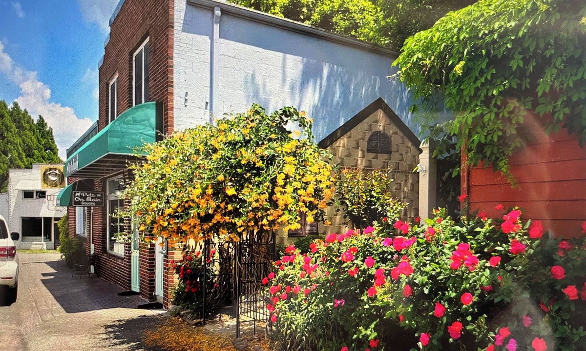 Ellijay Apartment | OverLook On Main | Couple | Downtown Ellijay