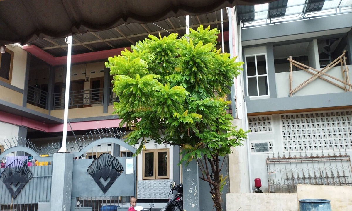 Mataram Hotel | OYO Life 93403 Penginapan Adinda