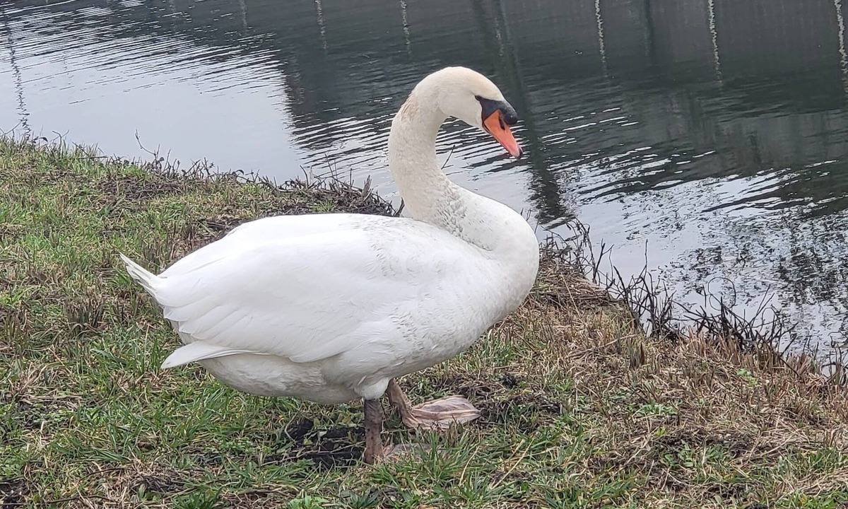 Vierzon Apartment | OzaBonair Vierzon Centre Ville