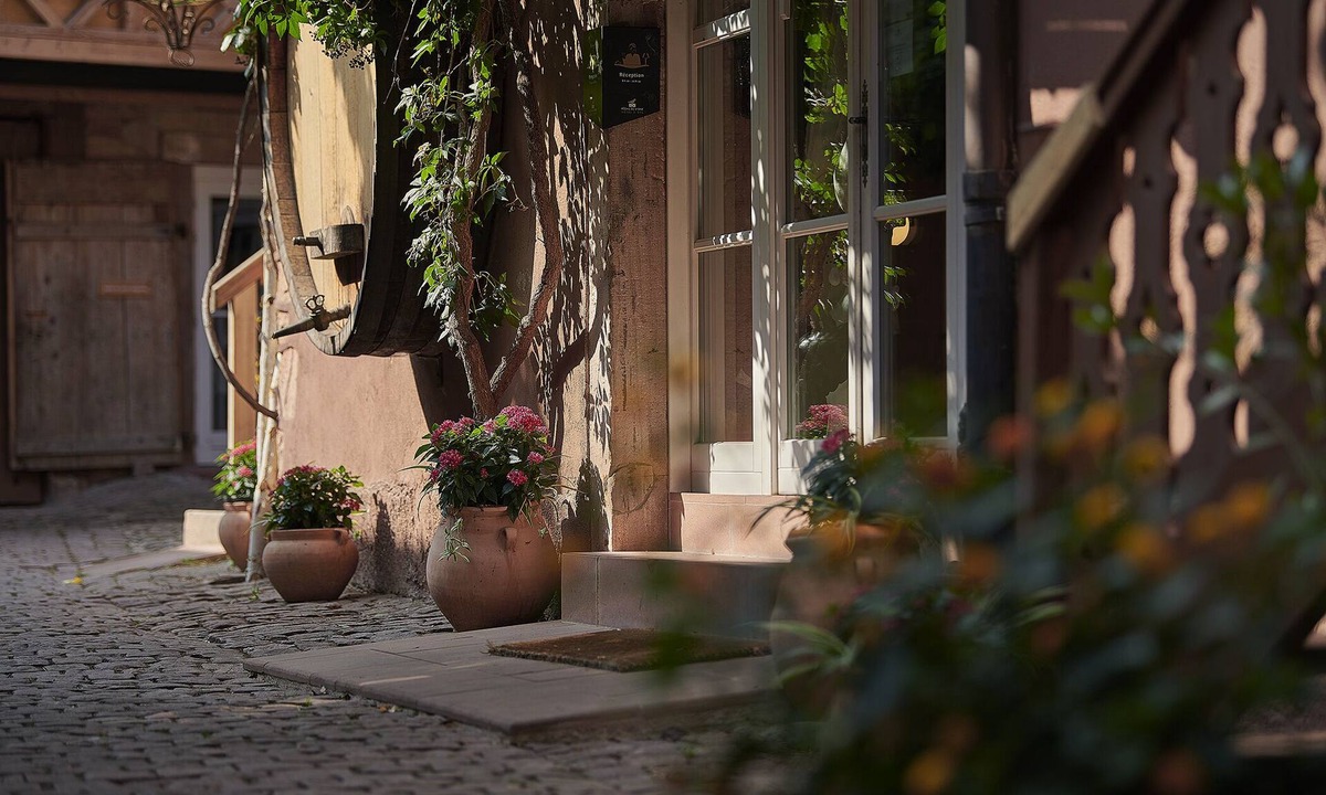 Rodern Hotel | Pêche de Vigne & Spa