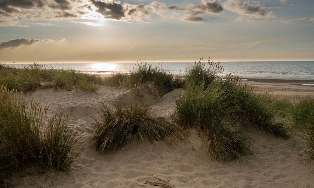 Copalis Beach Cabin | Pacific Dunes Resort