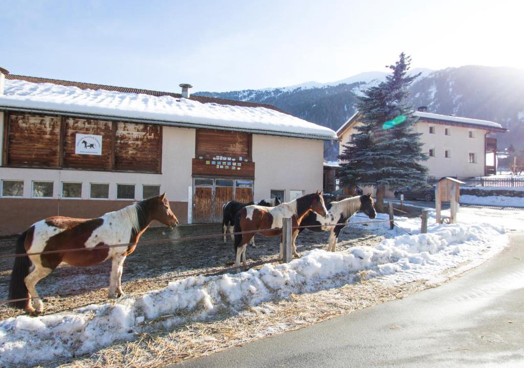 Val Muestair Apartment | Paclera Hof Agrotourismus