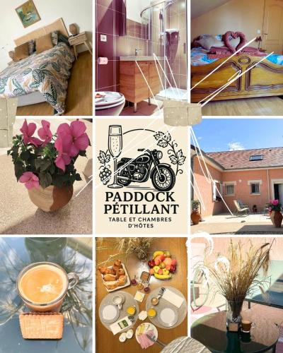 Aumenancourt Bed & Breakfast | paddock pétillant