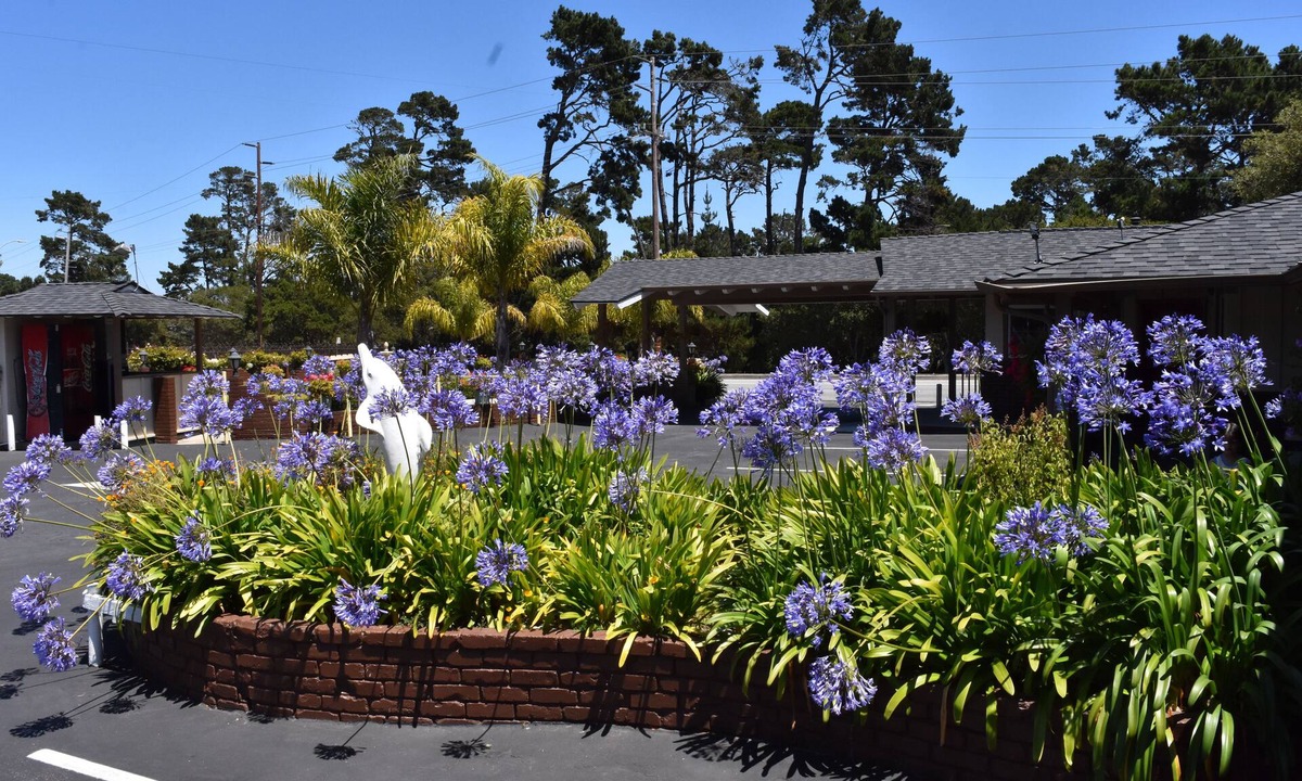 Munras Avenue Hotel | Padre Oaks