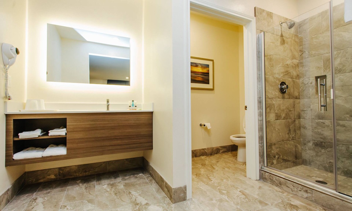 Spring Branch West Hotel | Palace Inn City Center