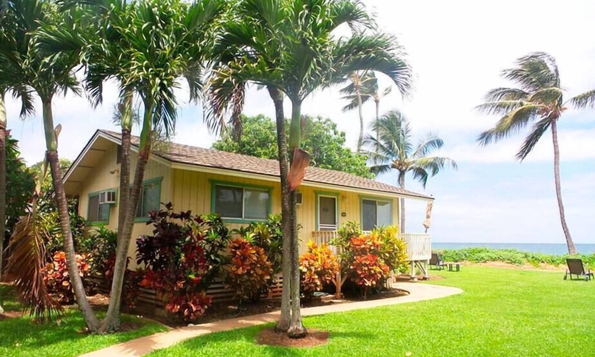 Paia House | Palm Maui County permit STPH 20130018