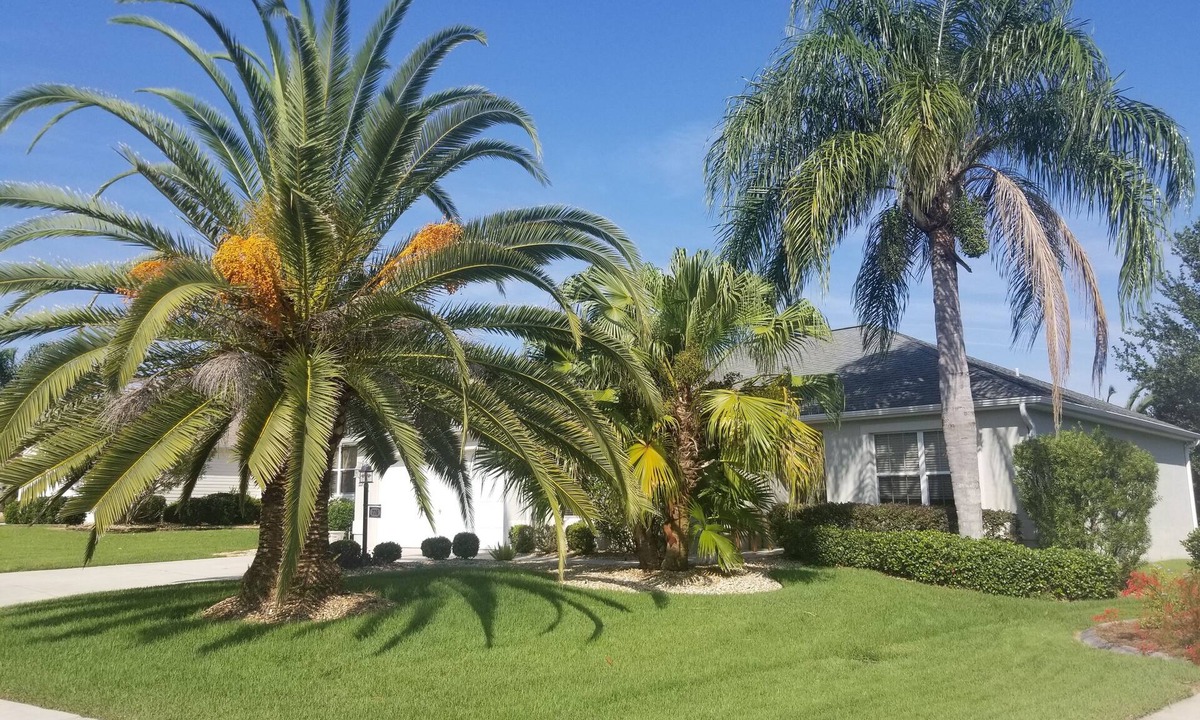 The Villages House | Palm Paradise - Great Location with a Courtesy Golf Cart