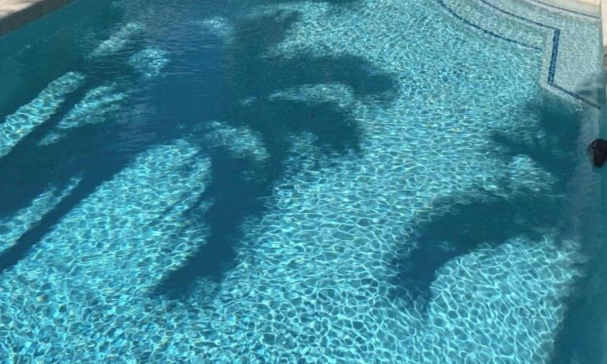 Flamingo Parks House | Palm Ridge House