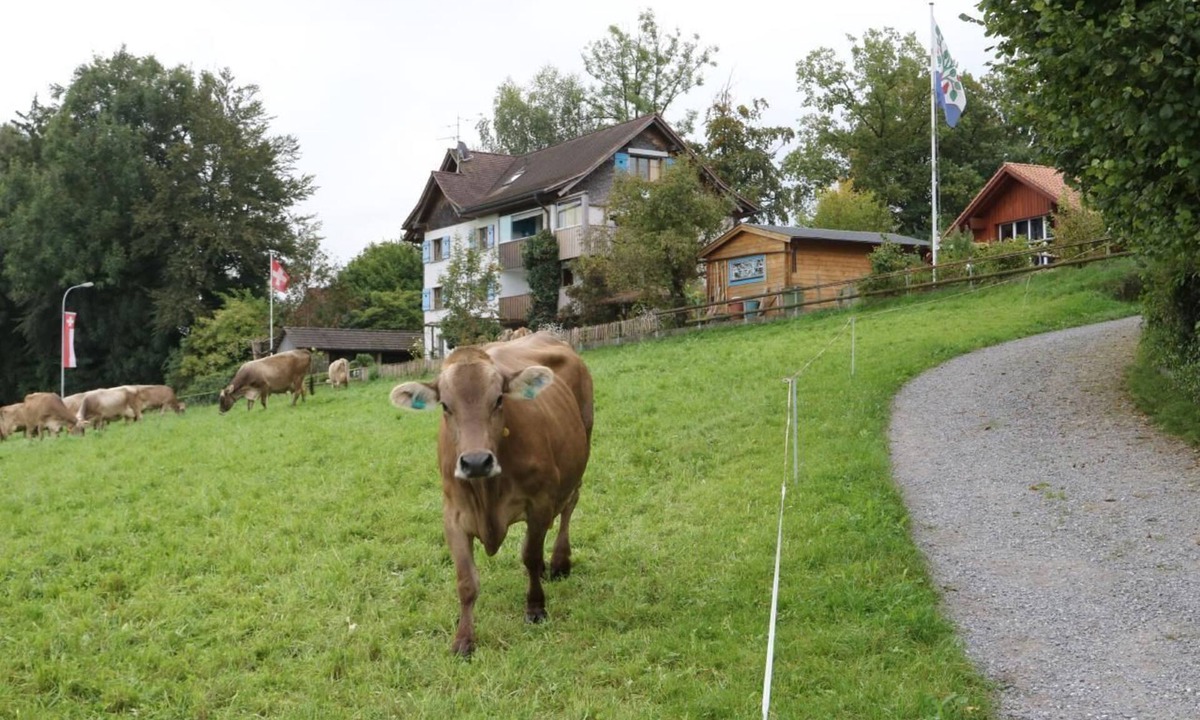 Egnach Apartment | Panorama Blick