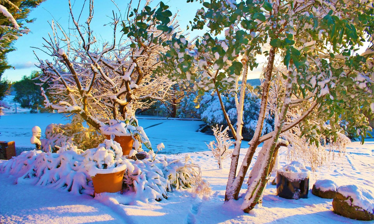 Jindabyne Hotel | Panorama Jindabyne