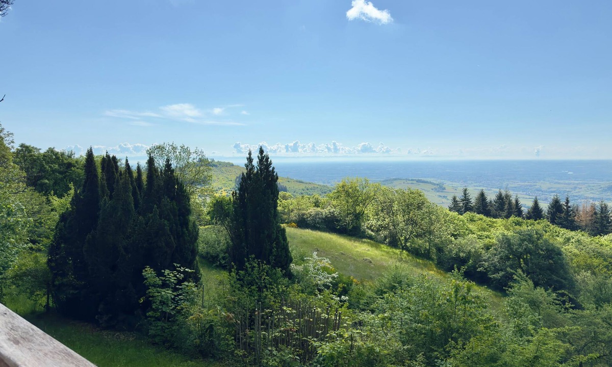 Cenves Ski Chalet | Panoramic Chalet