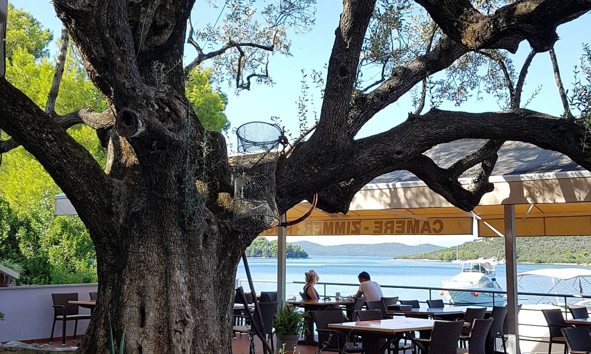 Luka Hotel | Pansion Alen-Dugi otok
