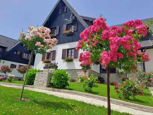Plitvica Selo House | Pansion Breza