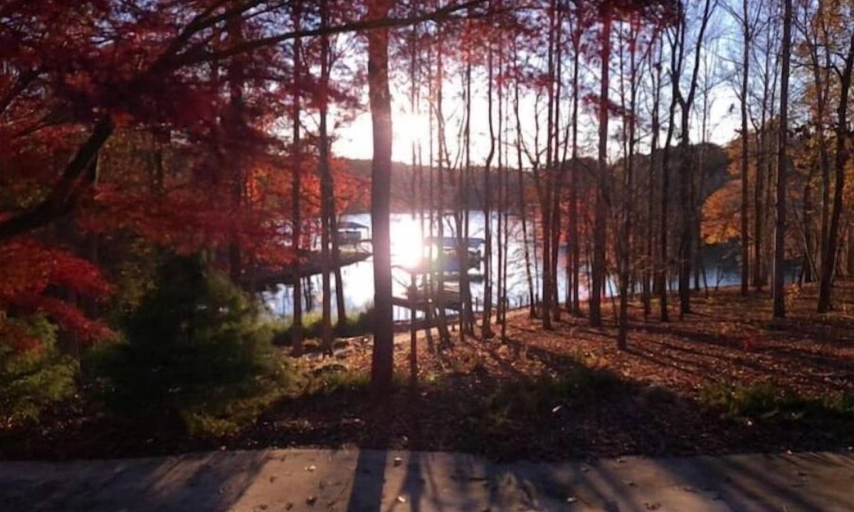 Saxony Forest House | Papa’s Lake House on Lake Keowee with a dock, private cove