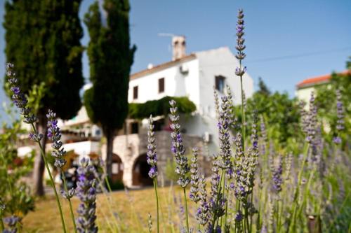 Punat House | Pape Punat