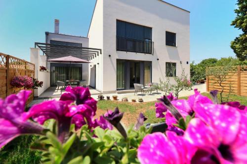 Tar Apartment | Papillon i Dolce Vita