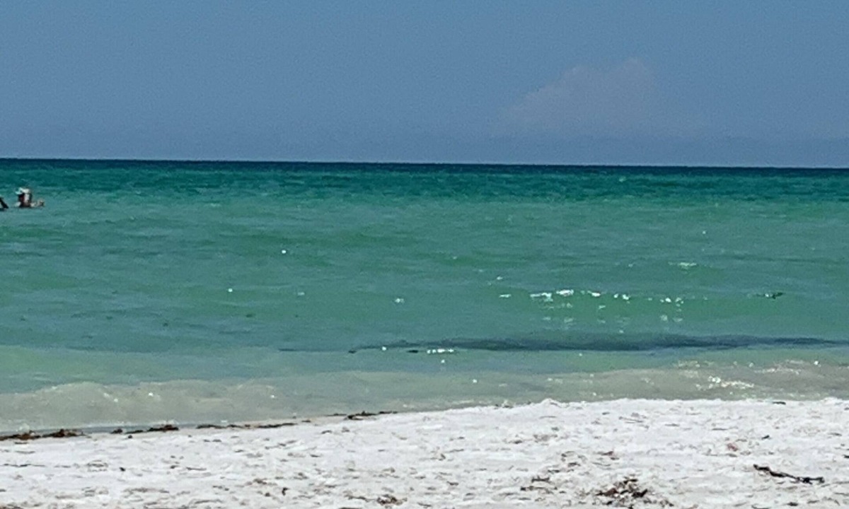 Siesta Key Condo | Paradise awaits!