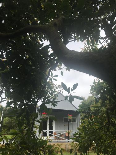 Onemana Ski Chalet | Paradise Grove