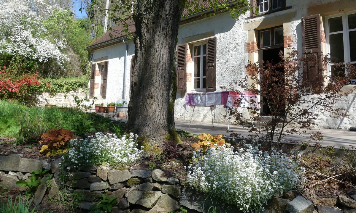 Chantelle Other | Paradise in a green setting