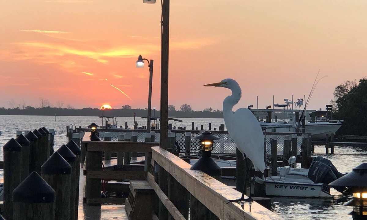 Placida Condo | Paradise on LGI! Golf Cart, Pool & Private Beach, Free parking & Free ferry