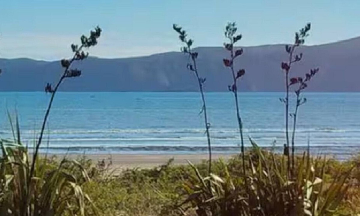 Paraparaumu Beach Apartment | Paraparaumu Beach Hideaway