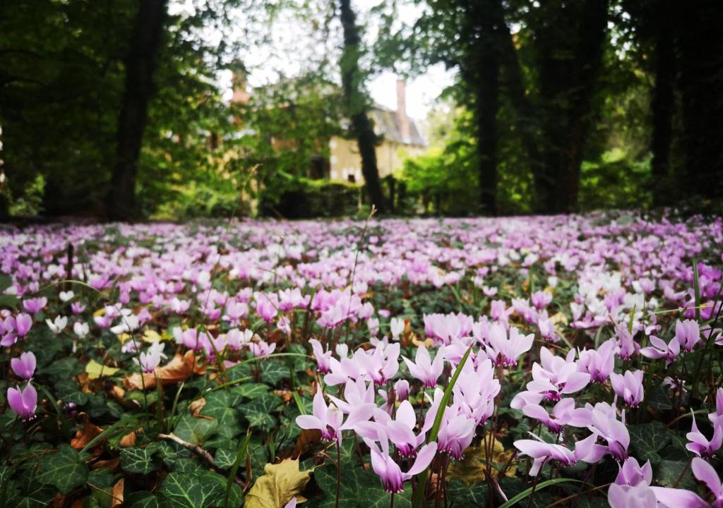 Meunet-Planches Bed & Breakfast | Parc de Lesseps