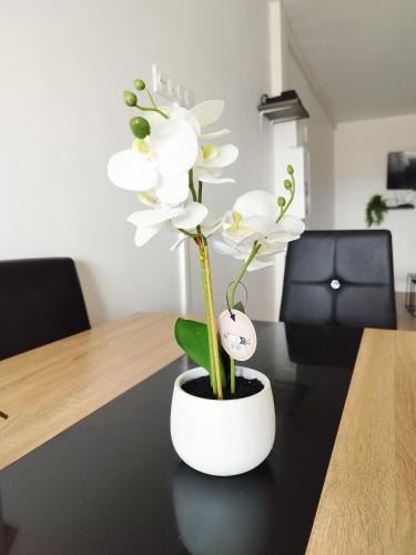 Argenteuil Apartment | Parisian Cosy flat with Balcony